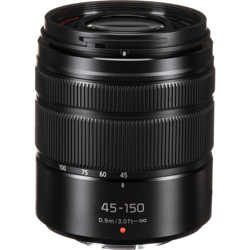 Panasonic Lumix G Vario 45-150mm (50-155mm equiv.)